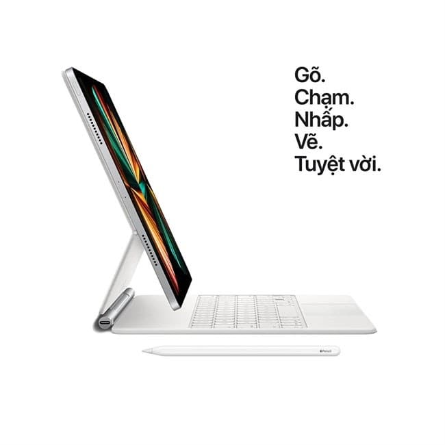 iPad Pro 11 inch M1 Likenew 99%
